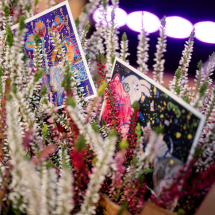 Makslas_skola_40_-72 Makslas_skola_40_-72