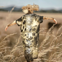 WhatsApp Image 2024-12-04 at 09.43.51 WhatsApp Image 2024-12-04 at 09.43.51