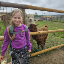 WhatsApp Image 2025-06-18 at 16.31.43 (1) WhatsApp Image 2025-06-18 at 16.31.43 (1)