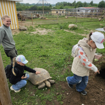 WhatsApp Image 2025-06-18 at 16.31.43 WhatsApp Image 2025-06-18 at 16.31.43