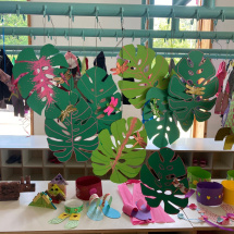 WhatsApp Image 2025-06-20 at 16.00.17 WhatsApp Image 2025-06-20 at 16.00.17