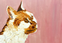 IGAUŅU MĀKSLA SALDŪ